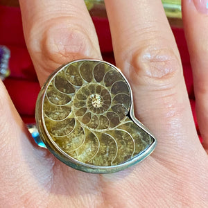 SS Fossil Shell Ring