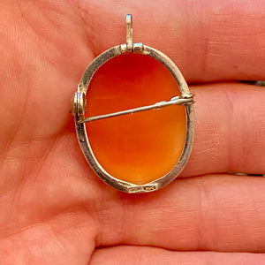 SS Carved Shell Cameo Pin Pendant