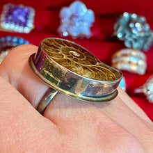 Load image into Gallery viewer, SS Fossil Shell Ring
