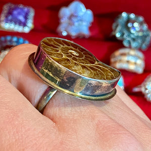 SS Fossil Shell Ring